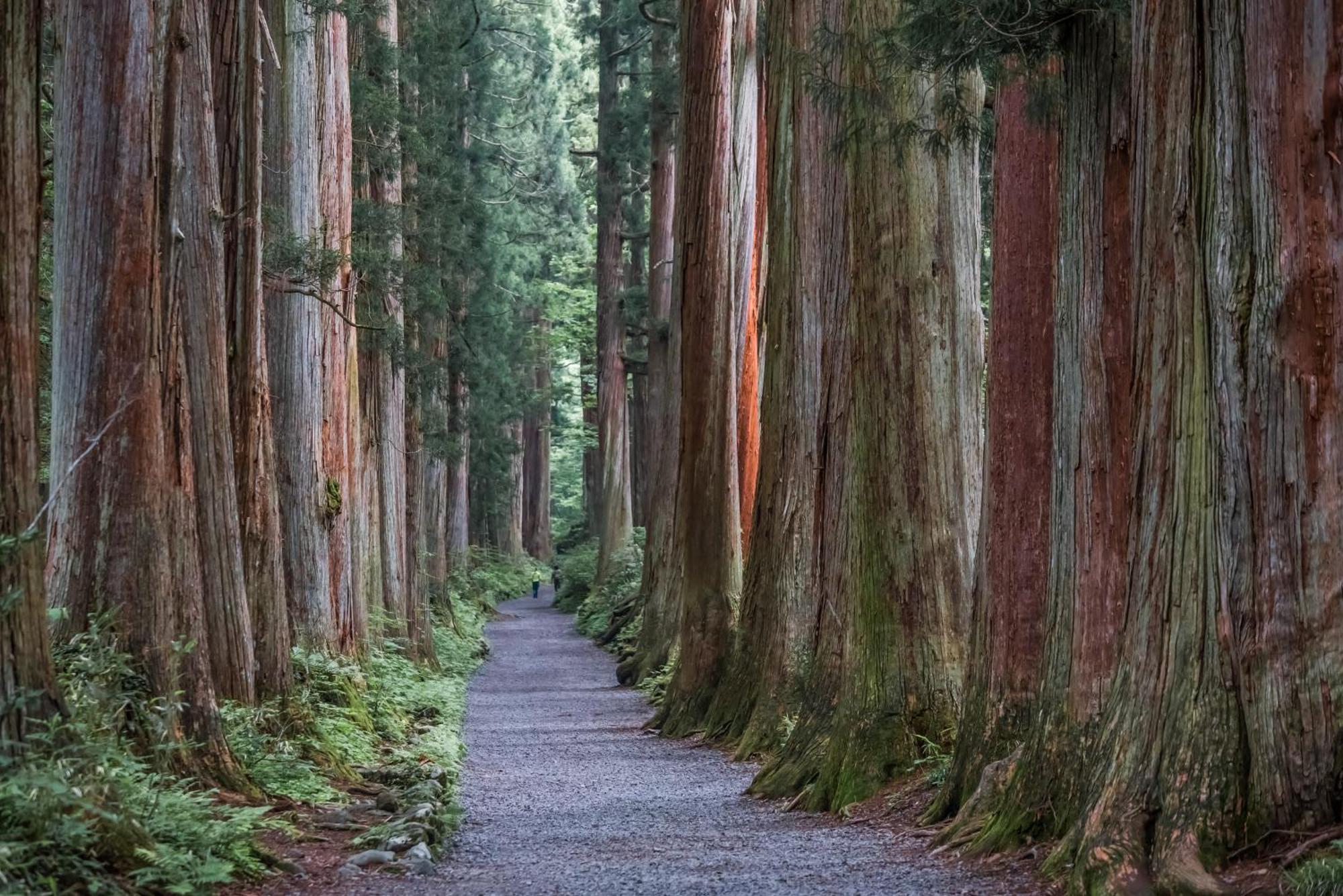ホテル 帰郷亭ゆもとや 松本市 エクステリア 写真